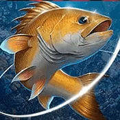 Fishing Hook Mod APK